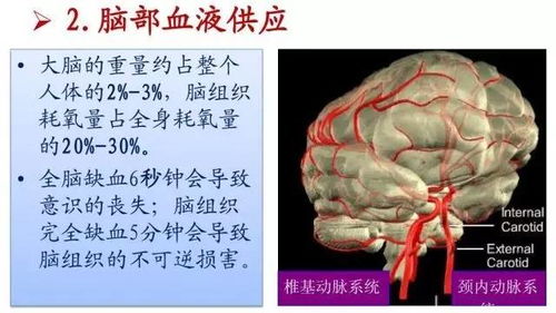 构建全周期健康管理 脑卒中患者的专业养生保健服务指南